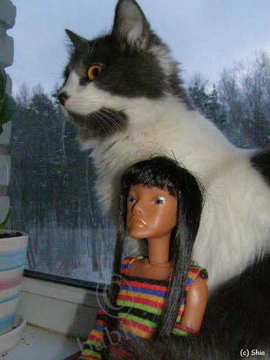 Кукла Мукла - Mooqla - домашние фото (фото 7)