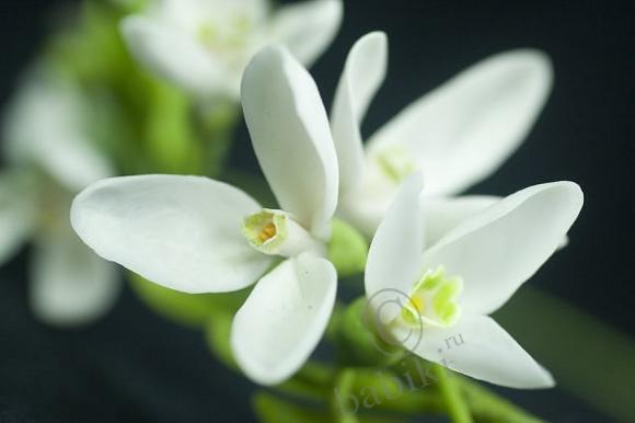 Посмотрите какое чудо - поделки из полимерных пластиков (фото 10)