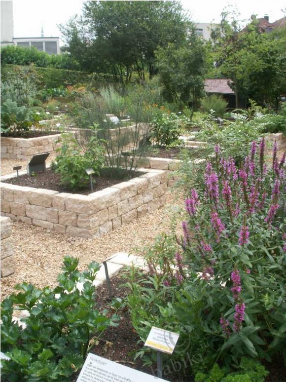 Кто сказал, что "МЫ не в СКАЗКЕ ЖИВËМ" !? -3 (фото 9)