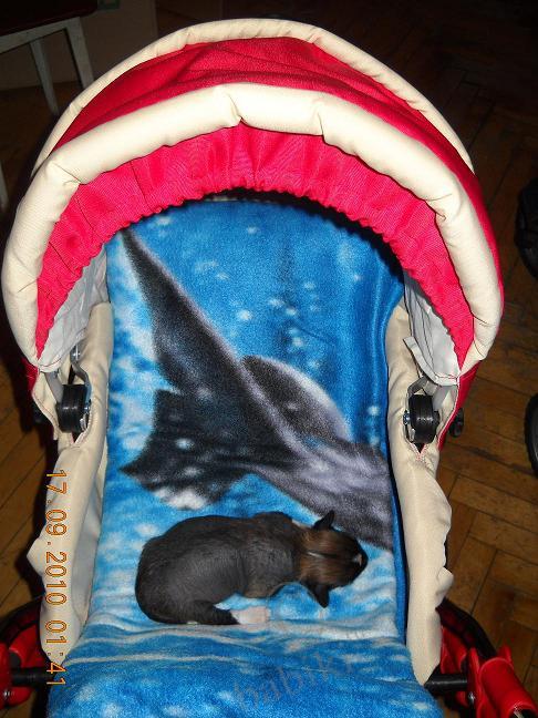 Мой сладкий БейБик Кэсси — Болталка и разговоры обо всем: жизнь