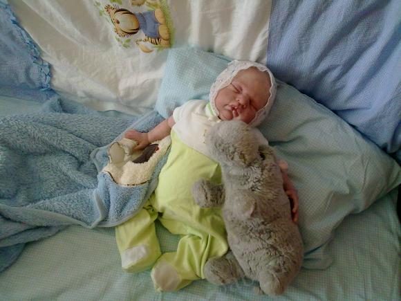 Отдохнувшие после долгого путешествия, решили пофотографироваться (фото 8)