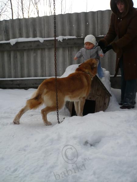 Субботняя прогулка — Куклы Adora (Адора): коллекционные виниловые (фото 8)