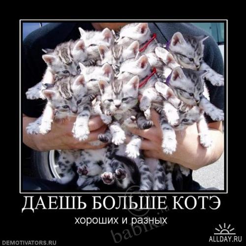 Позитифф!! Прибавила еще — Болталка и разговоры обо всем: жизнь