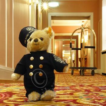 Мишки Тедди и Гранд Отель Европа | Бэйбики Мишки Тедди и Гранд Отель Европа (фото 2)