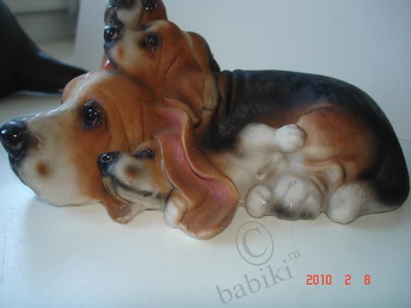 Вот такие собачки живут у меня дома (фото 4)