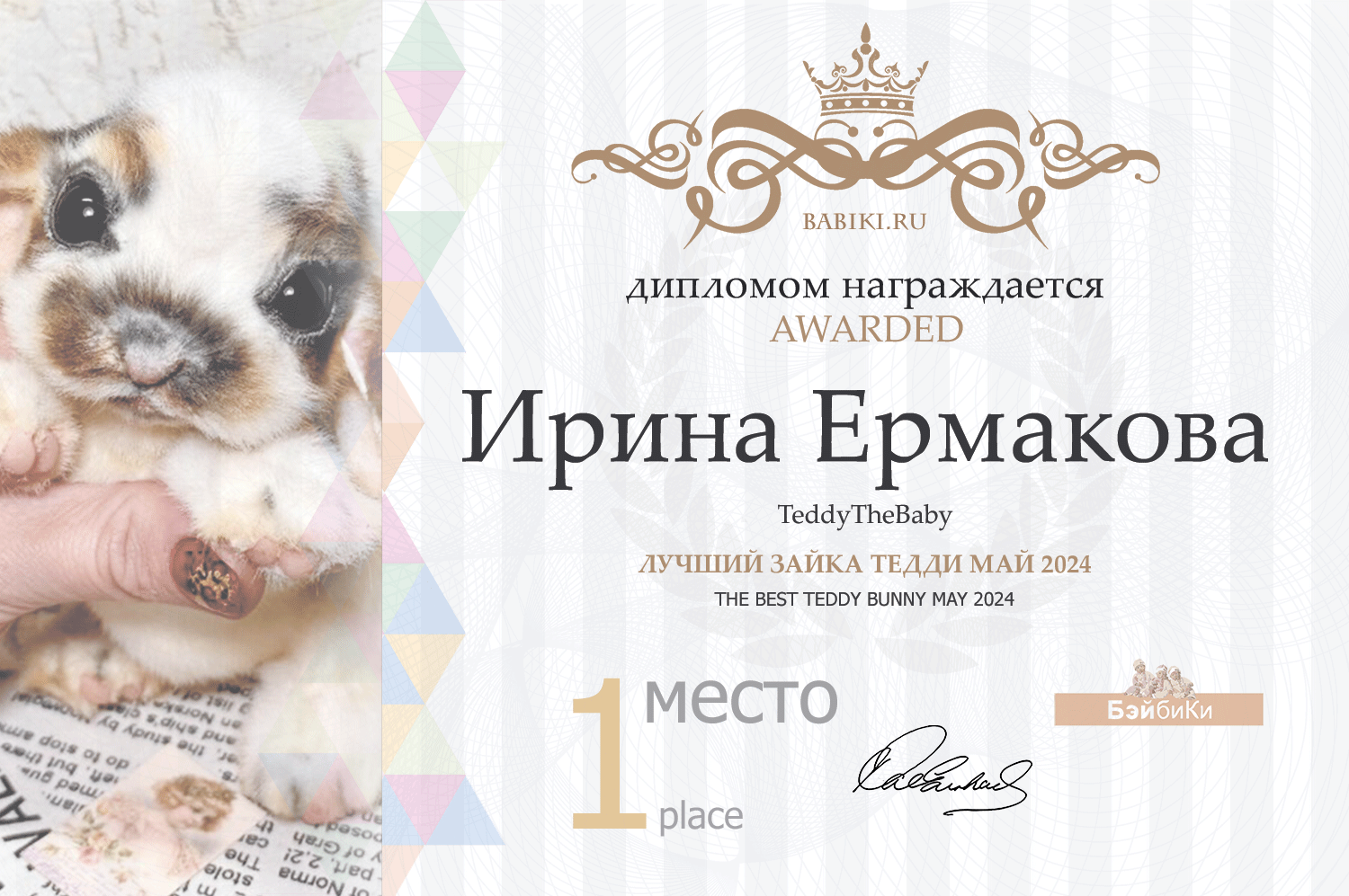 Диплом - Ирина Ермакова
