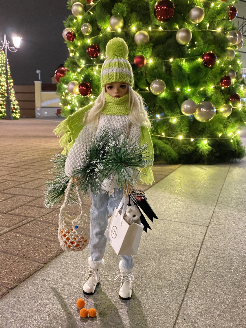 Фотоконкурс 20/11 - 10/12 2019. Новый год не за горами (фото 6)