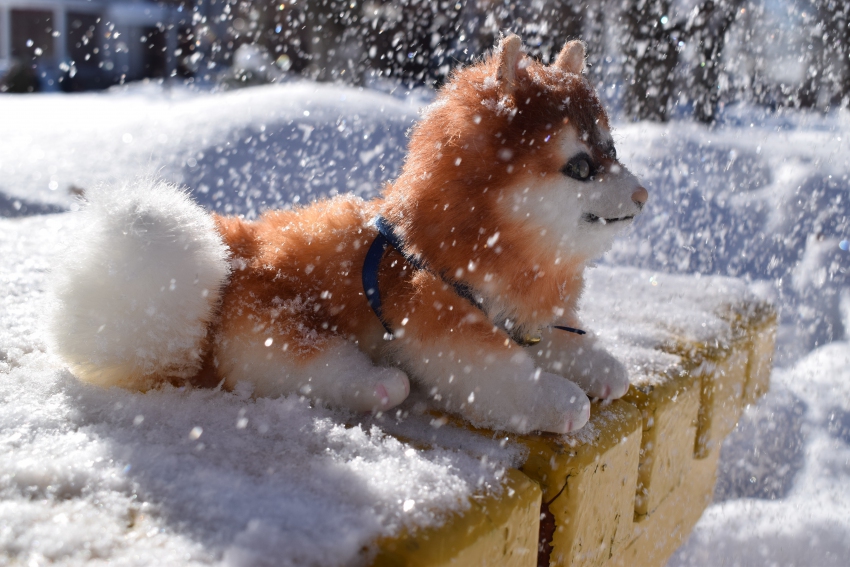 Фотоконкурс 18/2 - 5/3 2018. Кинообраз или образ из мультфильма