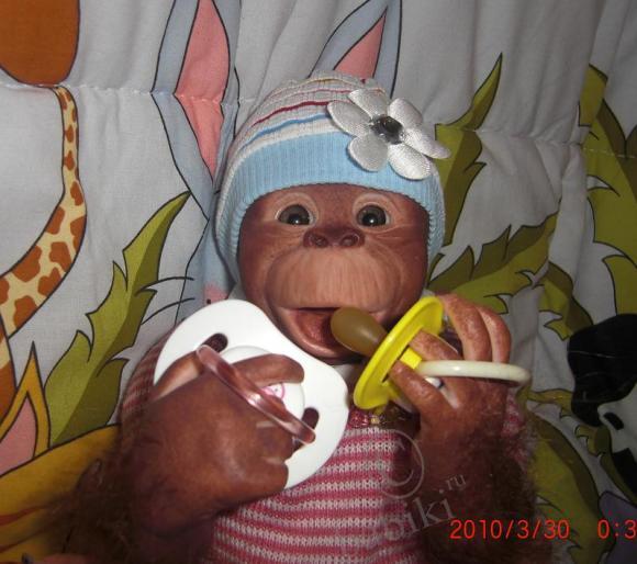 Новые фото! Мой юбилейный реборнчик - Обезьянка Читочка (фото 6)