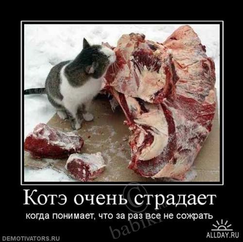 Позитифф!! Прибавила еще — Болталка и разговоры обо всем: жизнь
