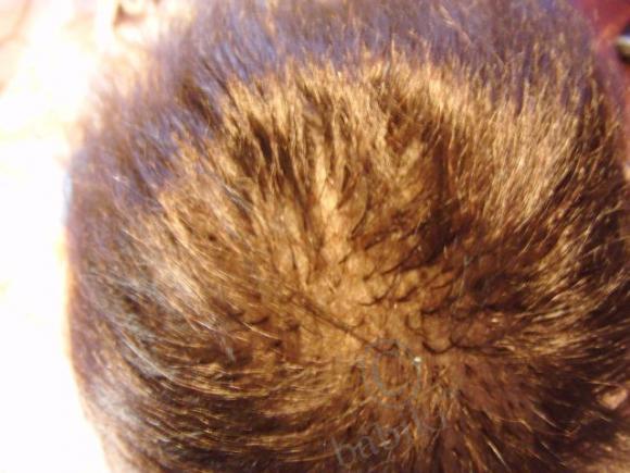 Привет Арнольд! Малыш Беренжер реборн (фото 3)