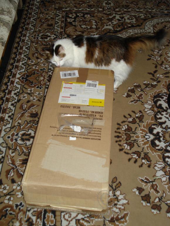 Дженника приехала! Коллекционная кукла