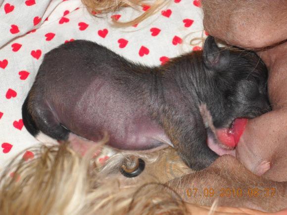 Мой сладкий БейБик Кэсси — Болталка и разговоры обо всем: жизнь (фото 2)