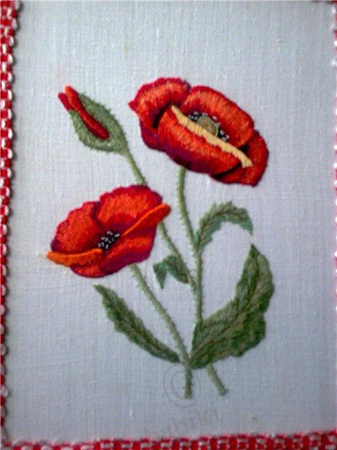 Ностальгия — Другие хобби и увлечения: сад (фото 5)