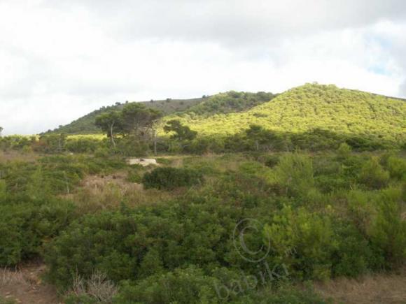 Еще раз о Майорке — Туризм и путешествия: фотоотчеты из поездок