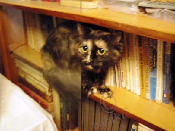 Где находится НОФЕЛЕТ? Часть первая. Кулинарное путешествие Айбулата в Уфу (фото 9)