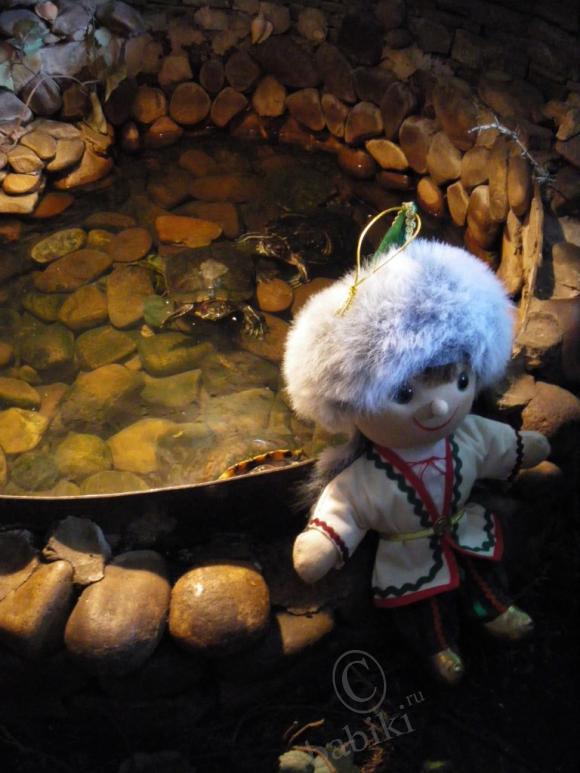 Где находится НОФЕЛЕТ? Часть первая. Кулинарное путешествие Айбулата в Уфу