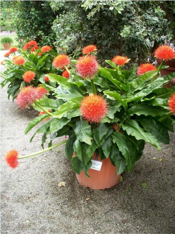 Кто сказал, что "МЫ не в СКАЗКЕ ЖИВËМ" !? -3