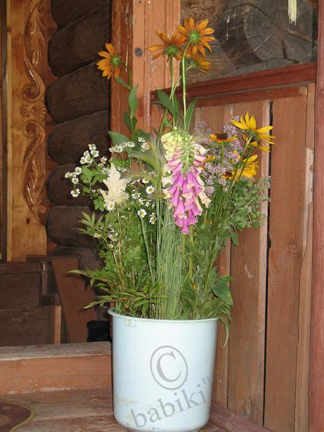 Миллионы, миллионы, миллионы алых роз (фото 2)