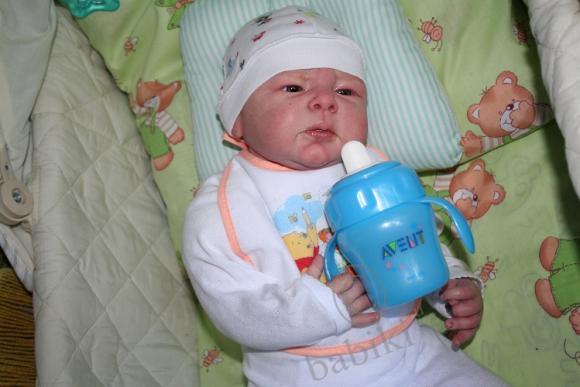 Один осенний день из жизни Арсения