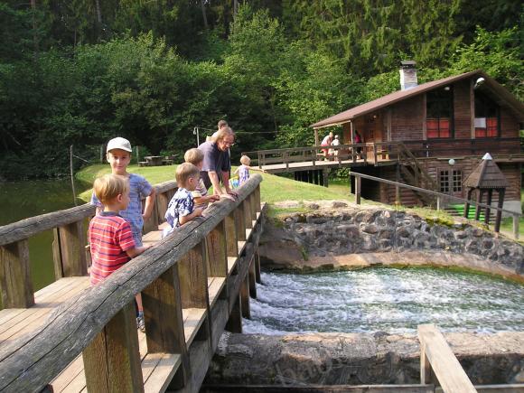 Путешествие в Литву — Туризм и путешествия: фотоотчеты из поездок (фото 2)