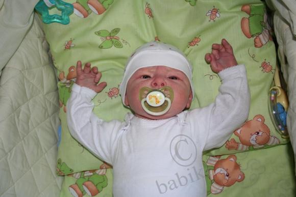 Один осенний день из жизни Арсения (фото 6)