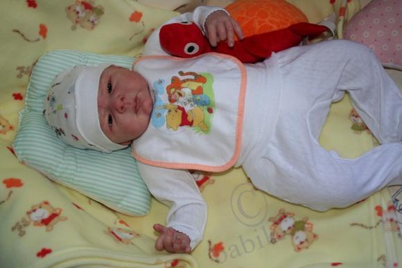 Один осенний день из жизни Арсения