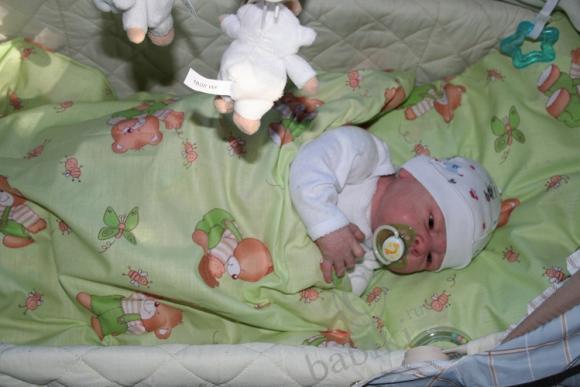 Один осенний день из жизни Арсения