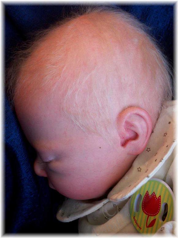 Кукла реборн из молда от Adrie Stoete-Schuiteman ALEXIA