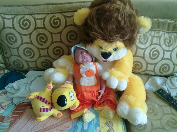 Отдохнувшие после долгого путешествия, решили пофотографироваться (фото 5)