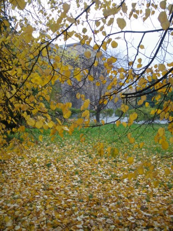 Несколько коротких мгновений, или Есть в осени первоначальной… | Бэйбики Несколько коротких мгновений, или Есть в осени первоначальной… (фото 10)