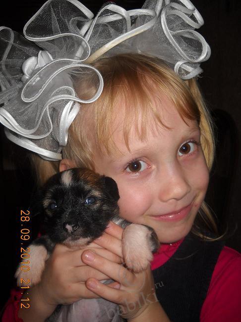 Мой сладкий БейБик Кэсси — Болталка и разговоры обо всем: жизнь