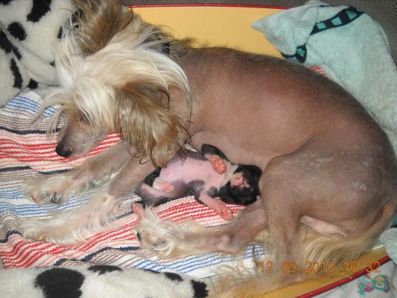 Мой сладкий БейБик Кэсси — Болталка и разговоры обо всем: жизнь (фото 5)