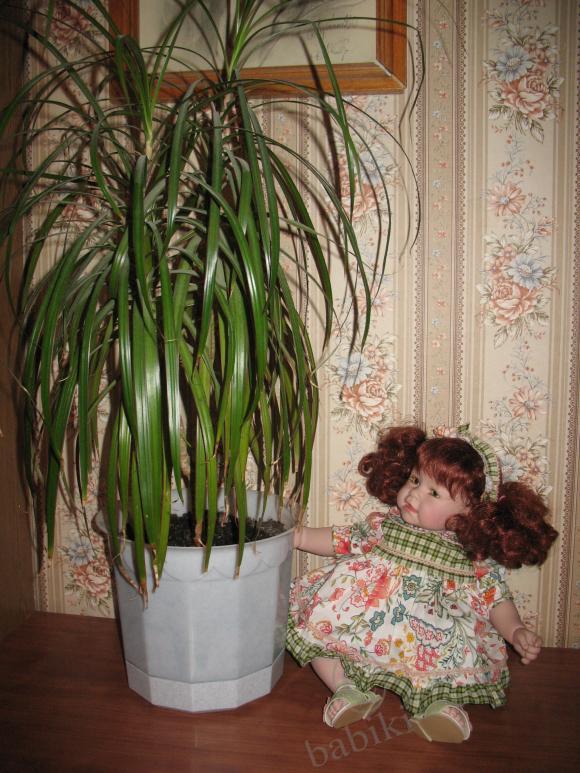 Коллекционная кукла Адора (Adora doll)