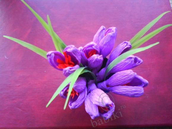 Цветочки из всего подряд — Другие хобби и увлечения: сад (фото 3)