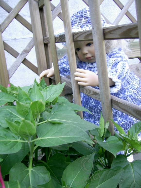 Хорошая девочка Лиза - Cindy от Doris Stannat