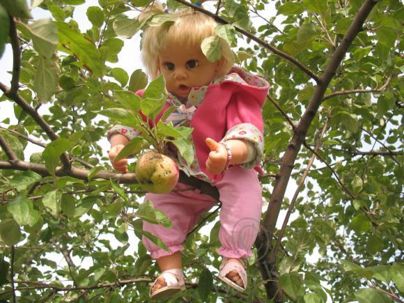Соня на даче — Прочие игровые куклы для девочек