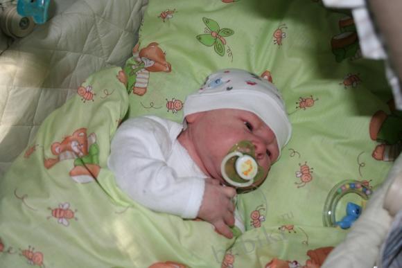 Один осенний день из жизни Арсения (фото 2)