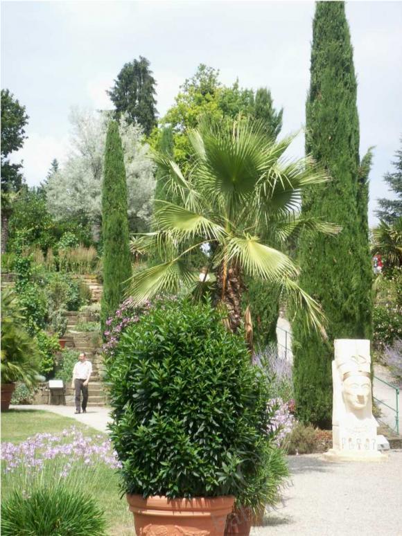 Кто сказал, что "МЫ не в СКАЗКЕ ЖИВËМ" !? -3