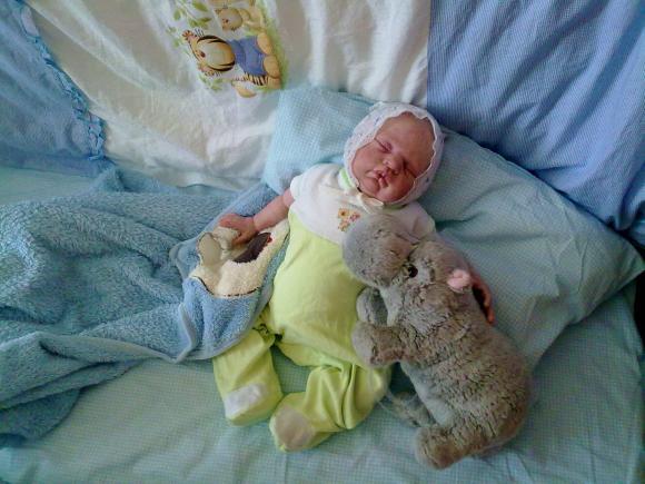 Отдохнувшие после долгого путешествия, решили пофотографироваться (фото 9)