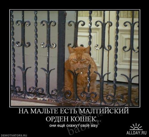 Позитифф!! Прибавила еще — Болталка и разговоры обо всем: жизнь