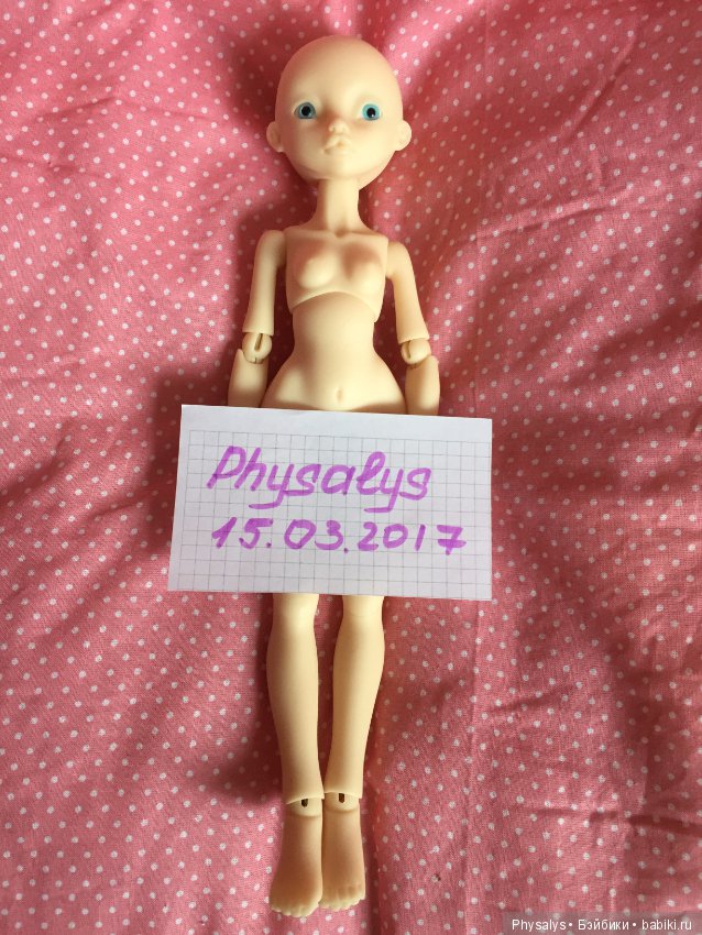 Продам Rhubarb (normal) — БЖД (фото 2)