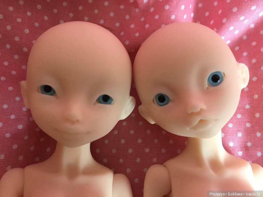 Продам Rhubarb (normal) — БЖД