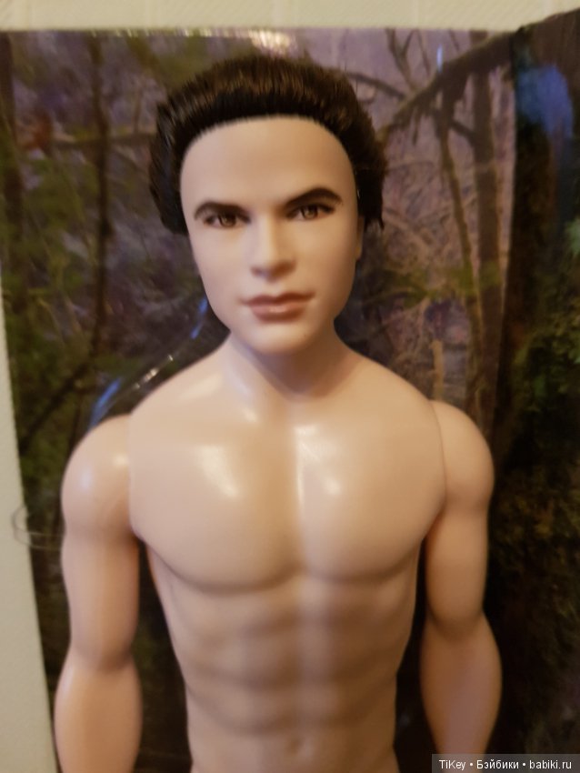 Эммет (Сумерки), доставка в цене (фото 2)