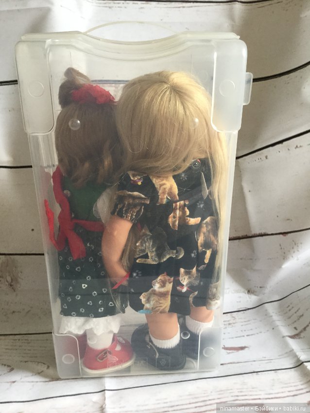 Переноска-бокс для вихтелей (фото 2)