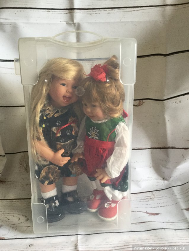 Переноска-бокс для вихтелей (фото 3)