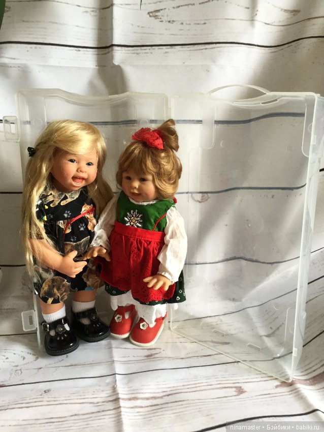 Переноска-бокс для вихтелей (фото 4)