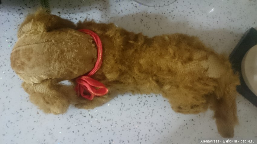 Собака старинная,Германия (фото 3)