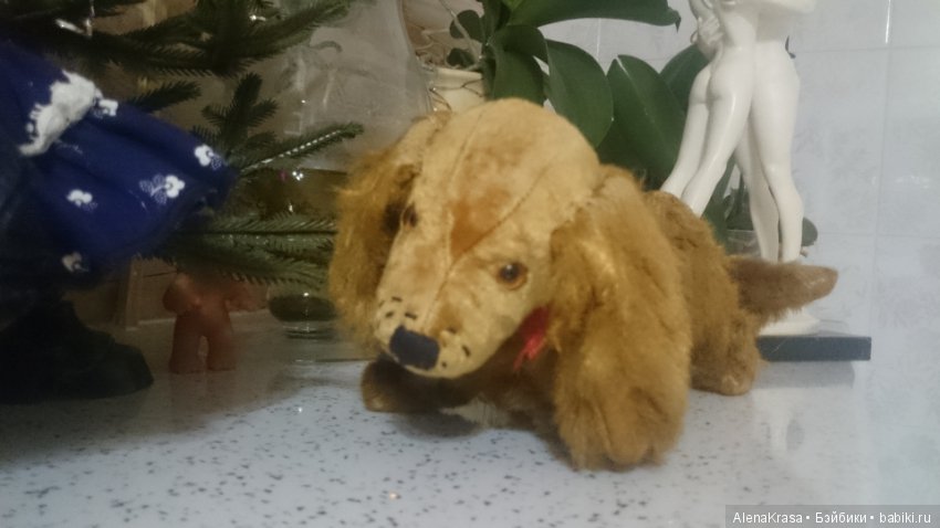 Собака старинная,Германия