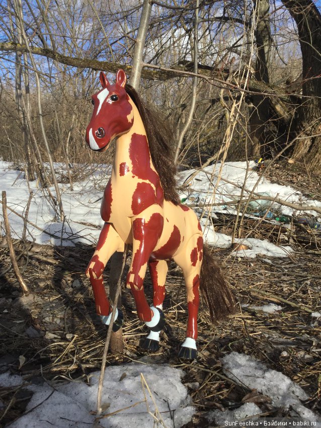 Продаю жеребца Техаса рыже-пегой масти (фото 5)